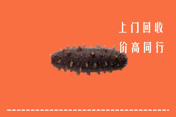 宜宾高价回收海参