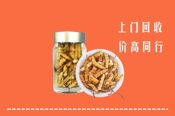 宜宾回收冬虫夏草